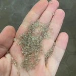 Фото №2 Продажа вторичной гранулы 585 общего назначения