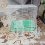 фото Клетка