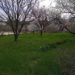 Фото №6 Продам участок