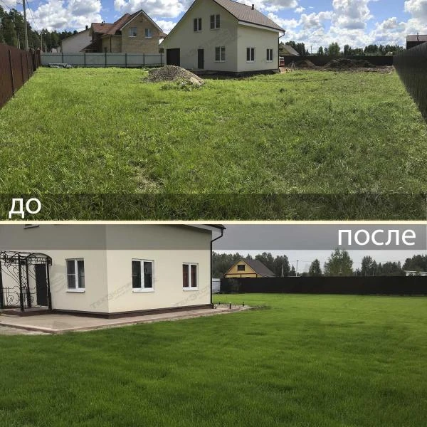 Фото Газон посевной и рулонный