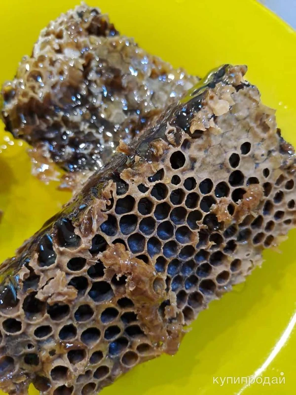 Фото Мёд Алтай