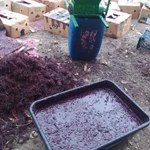 Фото №9 Виноградный сок