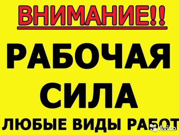 Фото Разнорабочие