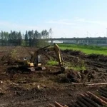 Фото №4 Спил деревьев Выкорчевка Расчистка Благоустройство