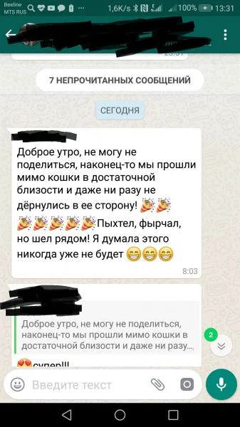 Фото Дрессировка собак в Стерлитамаке СЕМИНАР