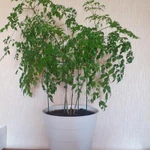 Фото №2 Мусорное ведро ИКЕА FNISS ФНИСС