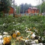 Фото №2 Уборка дачных территорий. Все виды работ