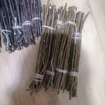 Фото №9 Веточки плодовых деревьев лесных.