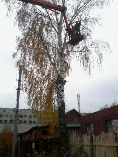 Фото Ремонт домов, подьездов, услуги спецтехники