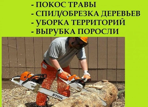 Фото Чистка участка от порослей, выравнивание грунта, покос травы