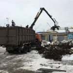 Фото №5 Услуги по спиливанию деревьев