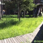 Фото №2 Покос травы. Расчистка участка