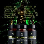 фото ECTOMORF для набора веса