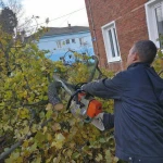 Фото №5 Измельчаем ветки дробилка веток в аренду 