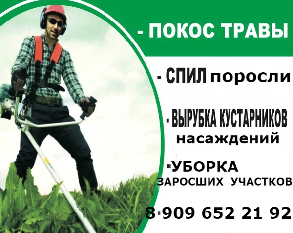 Фото ПОКОС ТРАВЫ. ПОРОСЛИ, БУРЬЯНА, СУХОСТОЯ