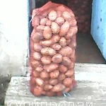фото продам картофель