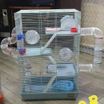 Фото №4 2 клетки