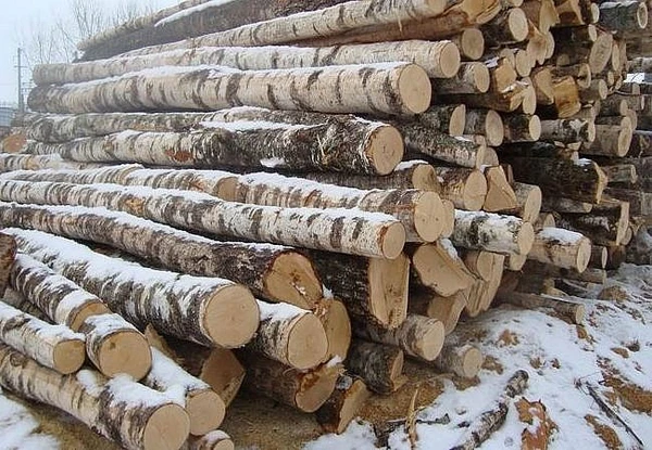 Фото Дрова берёзовые сухие колотые