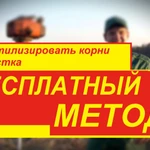 Фото №48 СПИЛ КОРЧЕВАНИЕ ВЫРАВНИВАНИЕ ПЛАНИРОВКА ГАТЧИНА И РАЙОН. 