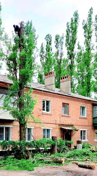 Фото СПИЛ ДЕРЕВЬЕВ БАТАЙСК 