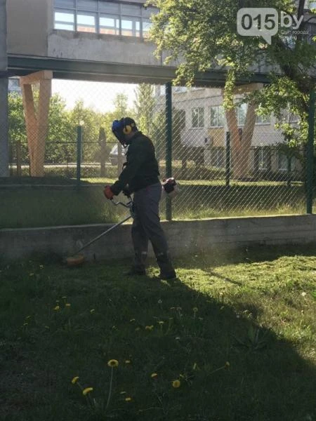 Фото ПОКОС ТРАВЫ ЛЮБОЙ СЛОЖНОСТИ 