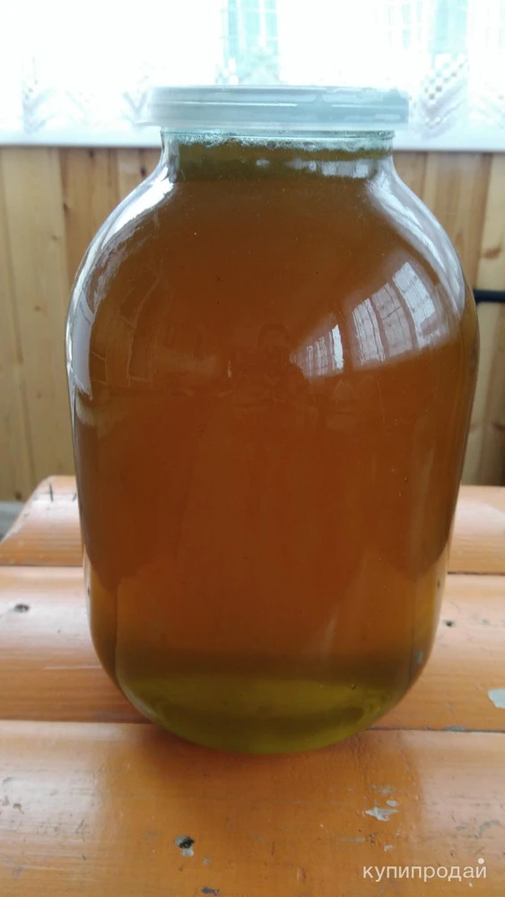 Фото Свежий мед 2024г. оптом