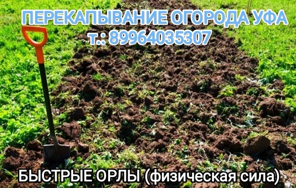 Фото Помощь на даче