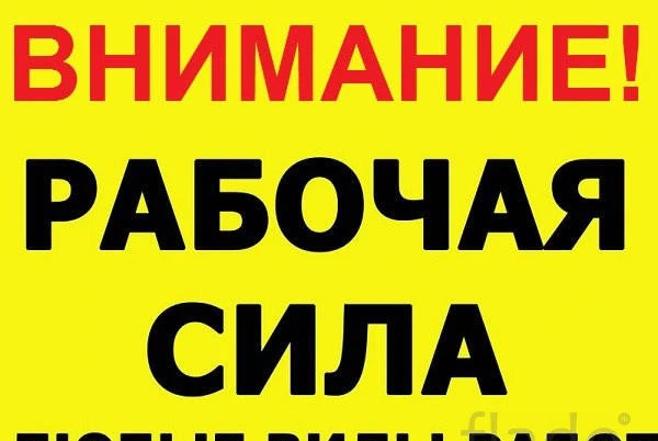 Фото Грузчики / Разнорабочие