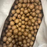 Фото №2 Макадамия орех Оптом