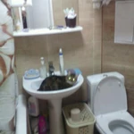 Фото №9 Ремонт квартир, домов.Plumber