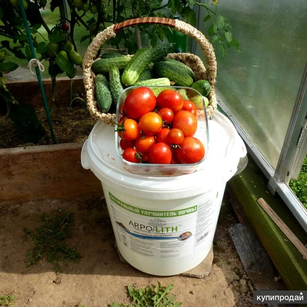 Фото Арполит - идеально для любых растений