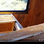 Фото №7 Мёд, трутневой гомогенат, маточное молочко