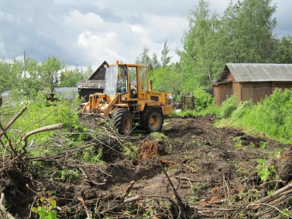 Фото Расчистка участка, уборка, вывоз