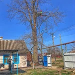 Фото №10 Спилить дерево.Удаление деревьев.Арбористика
