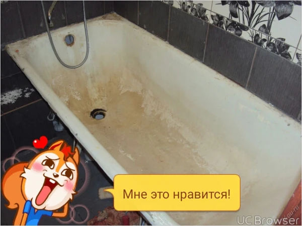 Фото Вывоз мусора