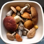 фото Продам грибы