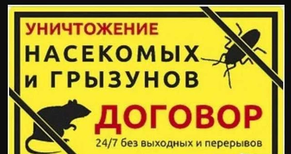 Фото Уничтожение тараканов клопов клещей Кропоткин
