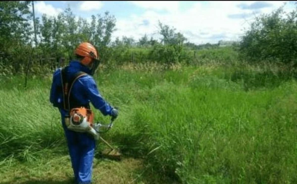Фото Покос травы, стрижка газона 