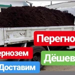 Фото №2 Чернозем, Перегной, Навоз, Торф, Земля грунт
