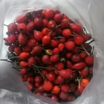 Фото №9 Плоды шиповника свежего. Цены за 100 грамм.