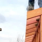 Фото №3 Монтаж крыши, сайдинга, пристройки. Бригада
