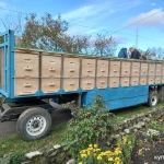 Фото №3 Новые деревянные ульи и рамки для пчёл.