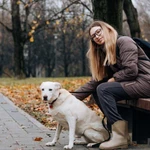 Фото №5 Луночка ищет дом