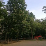 Фото №5 2-к квартира, 42 м2, 1/5 эт.