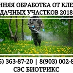 Фото №6 Обработка дачи от клещей Истра.Вызов специалиста