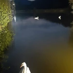 Фото №10 Аренда - продажа. Дача + бизнес, на участке 2,8Га.