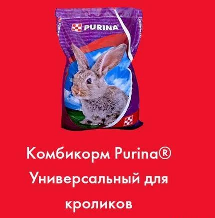 Фото Комбикорм Пурина (Purina) для кроликов