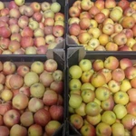 Фото №8 Яблоки Гала оптом от фуры.