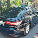 Фото №301 Свадебные машины, лимузины, микроавтобусы в Липецке