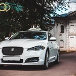 Фото №2 Свадебные кольца на автомобиль